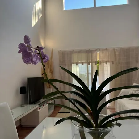 Pareada Con Piscina Privada Villa